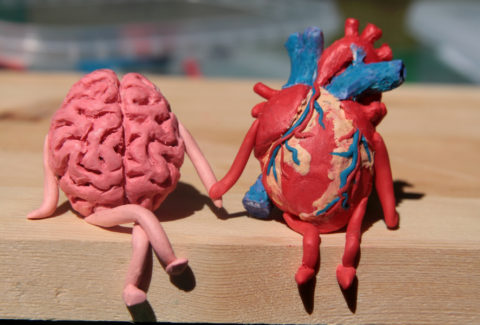 A brain and a joyful heart sitting together holding hands